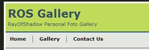 web design ROS Gallery